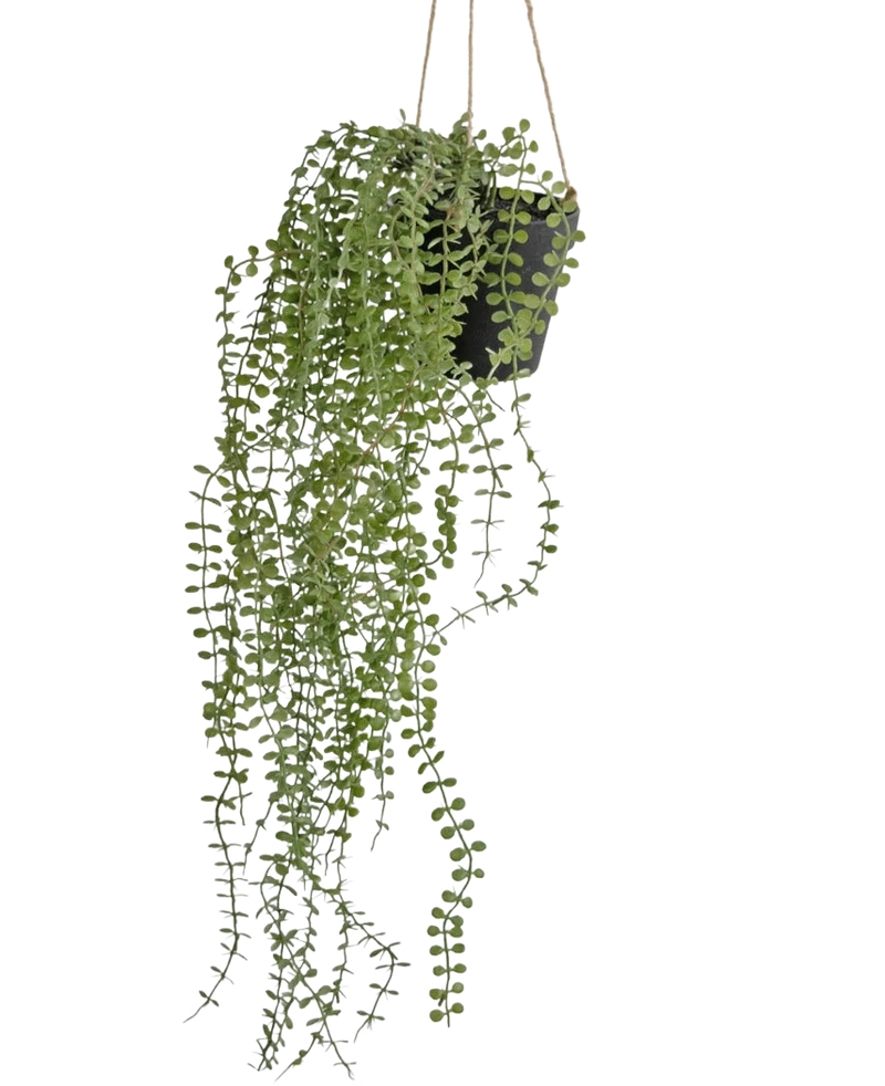 Künstliche Hängepflanze Pumila 81 cm im Topf