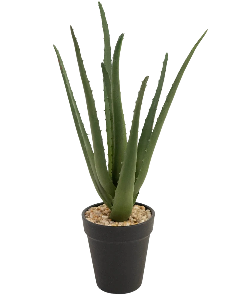 Künstliche Pflanze Aloe Vera 33 cm