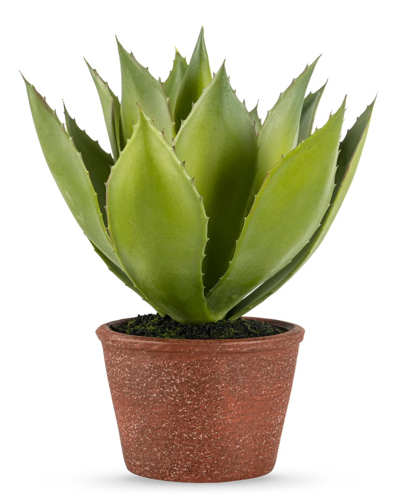 Künstliche Pflanze Agave 25 cm