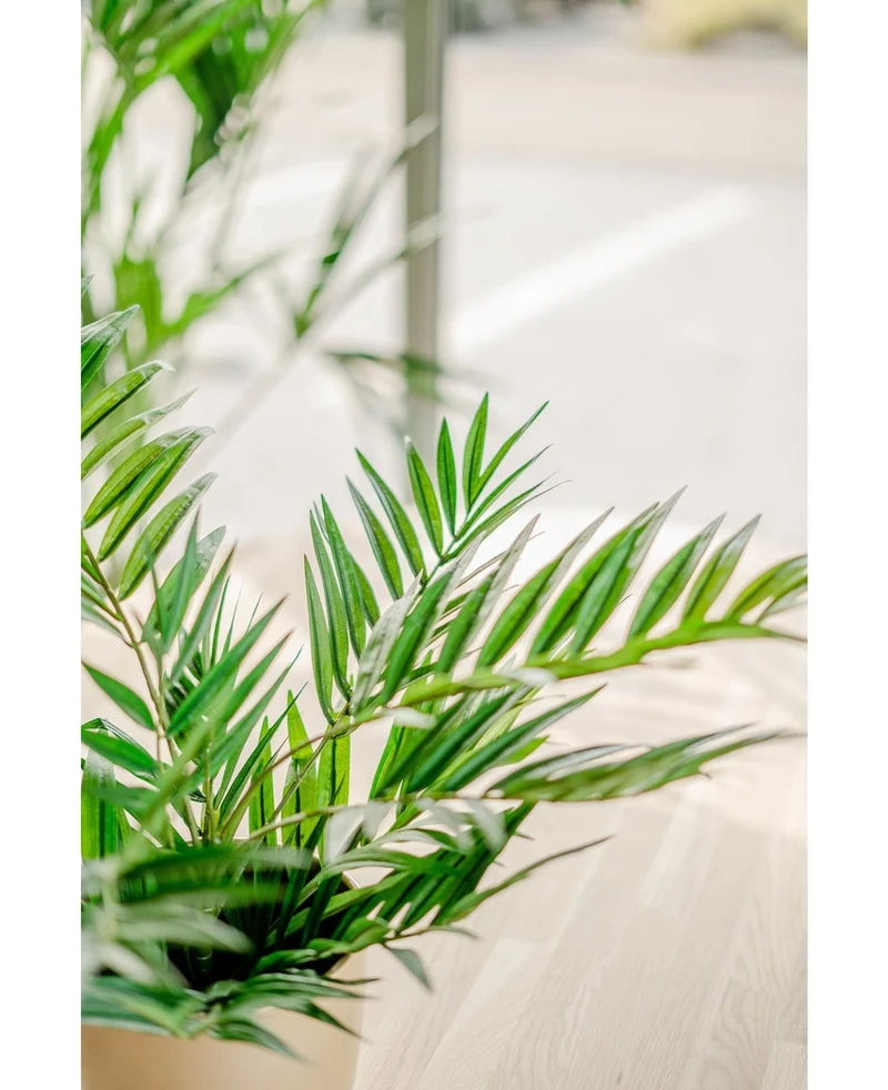 Kunstpalm Parlour UV 60 cm