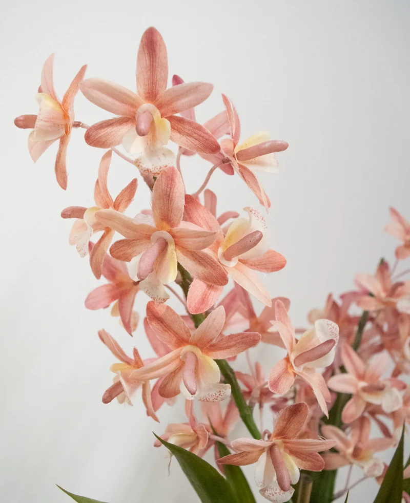 Kunstplant Cymbidium 58 cm roze