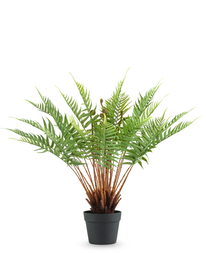 Künstliche Pflanze Farn 66 cm
