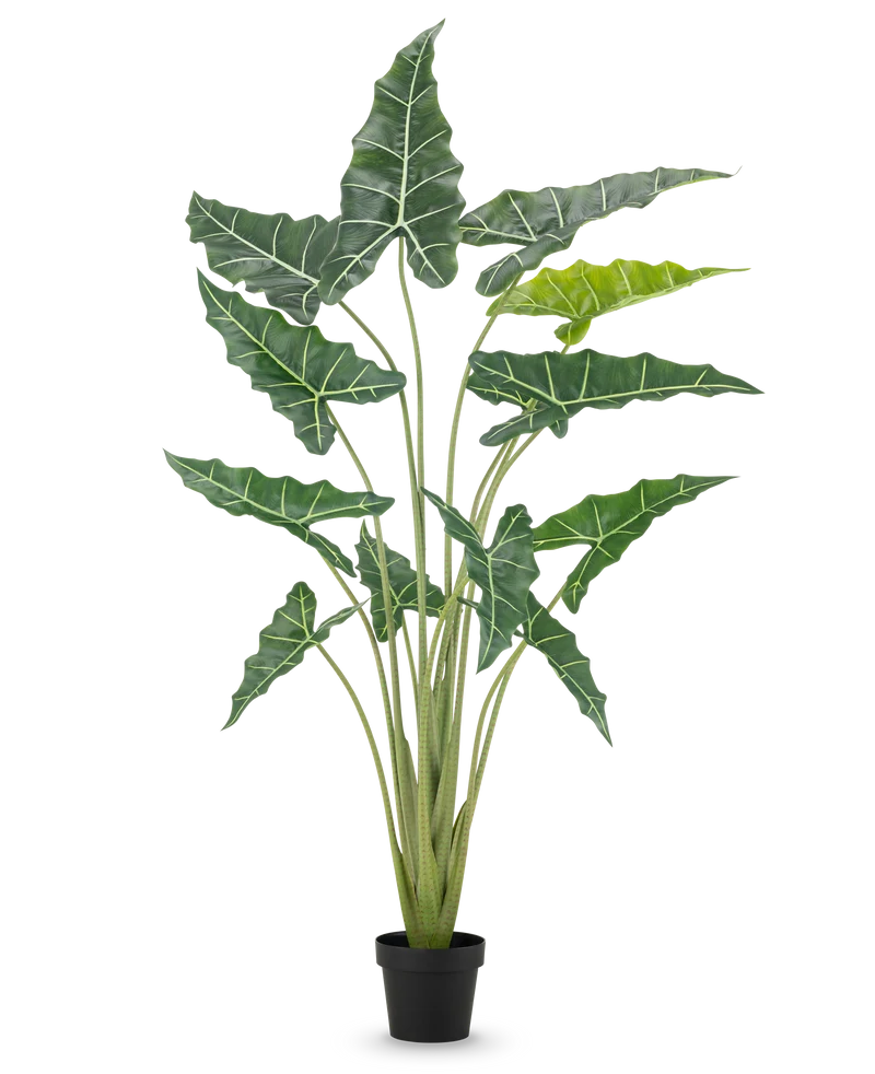 Künstliche Pflanze Alocasia 160 cm