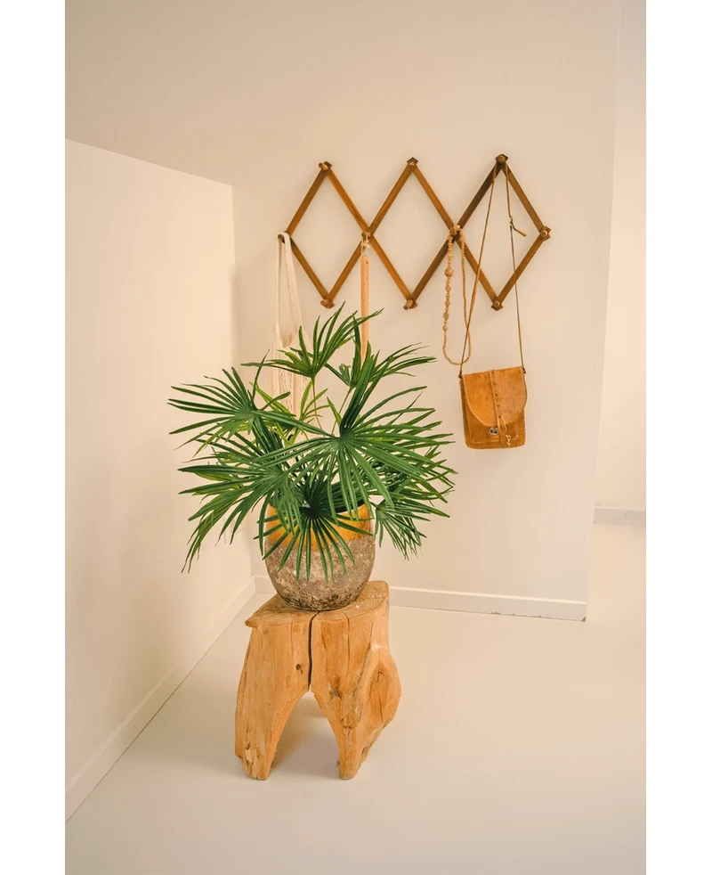 Kunstplant Baby Palm Fan in pot UV 50 cm