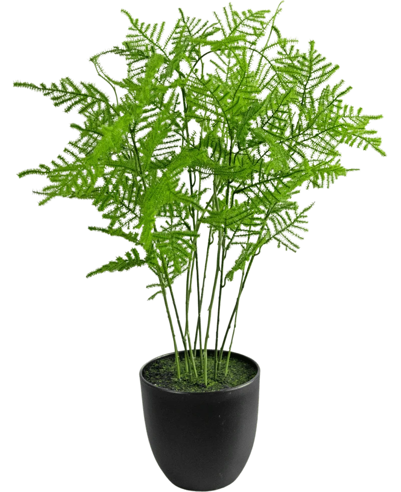 Künstliche Pflanze Spargel 59 cm