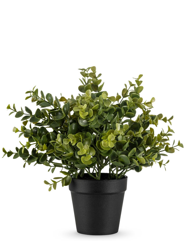 Künstliche Pflanze Pumila 25 cm