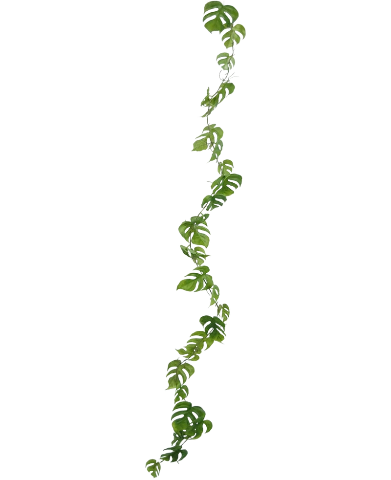 Künstliche Girlandenpflanze Monstera 182 cm