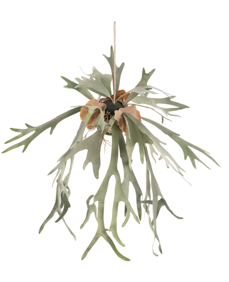 Künstliche Hängepflanze Staghorn auf Kugel 89 cm