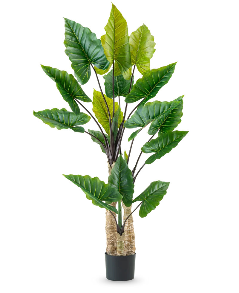Künstliche Pflanze Alocasia 210 cm
