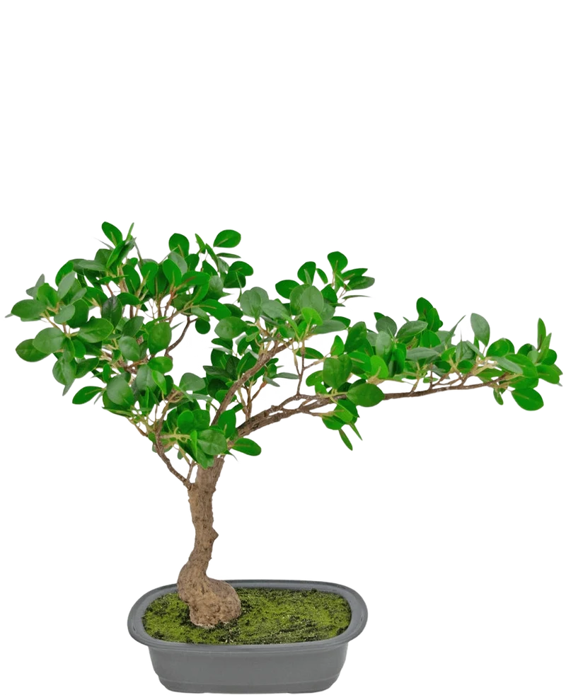 Künstliche Pflanze Bonsai Ficus 40 cm
