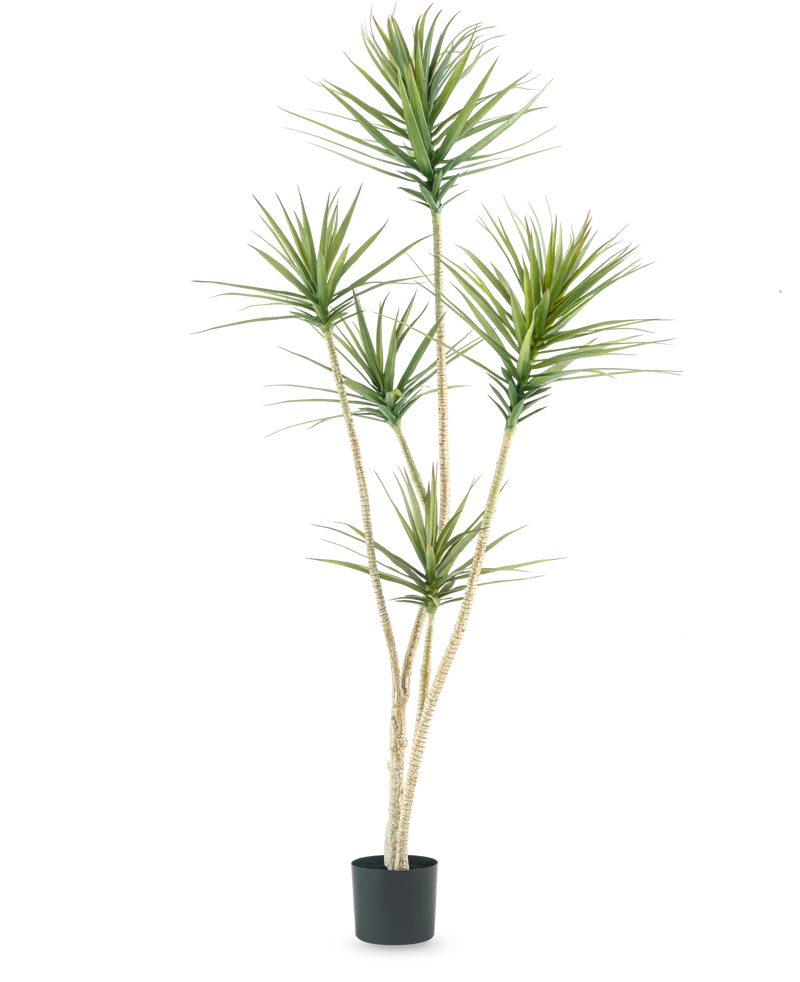 Künstliche Pflanze Dracaena Fragnans 180 cm