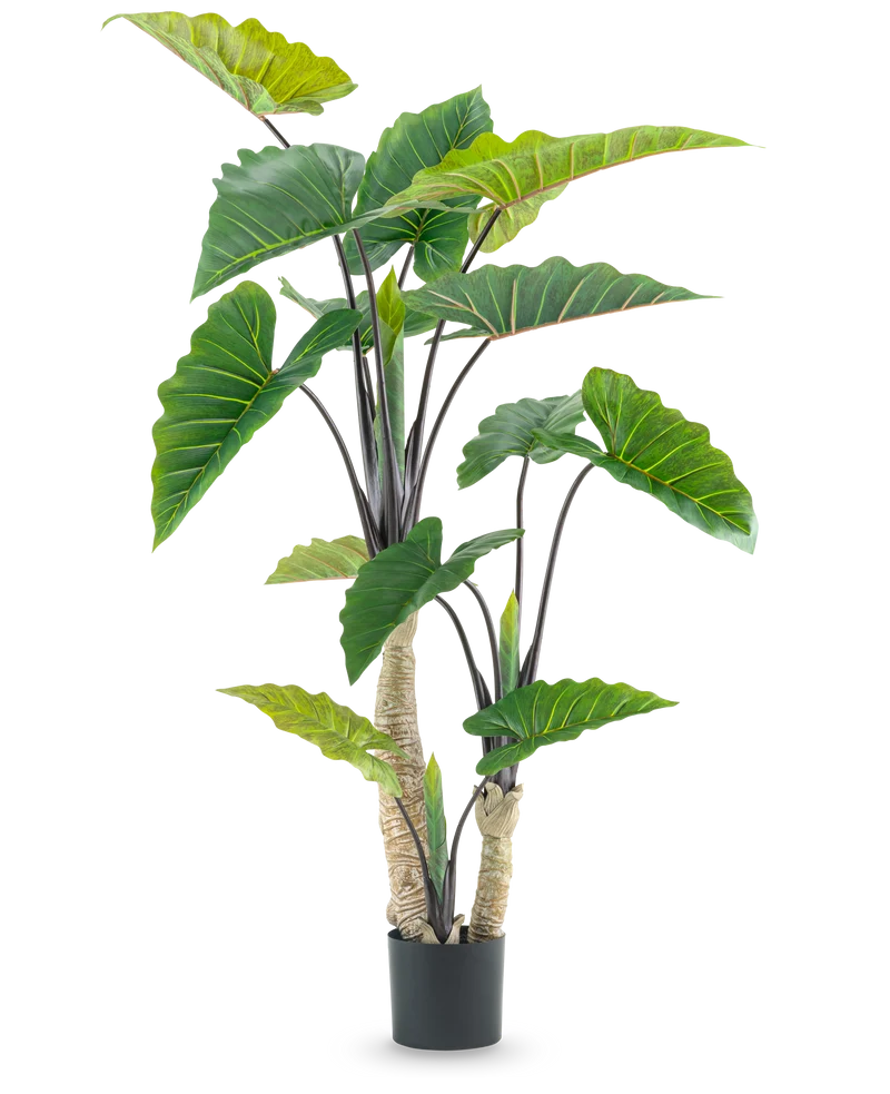 Kunstpflanze Alocasia 180 cm