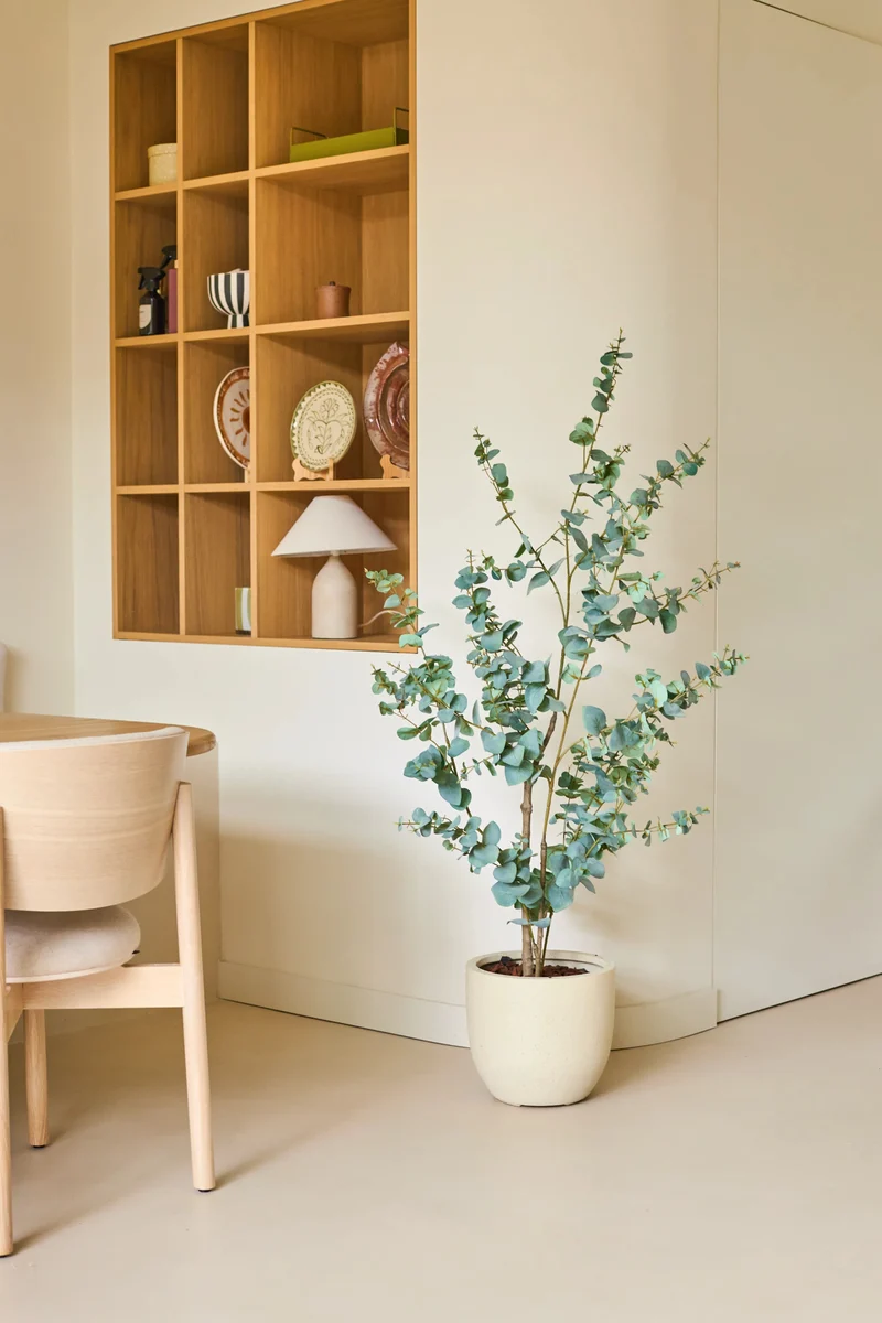 Künstliche Pflanze Eukalyptus 150 cm
