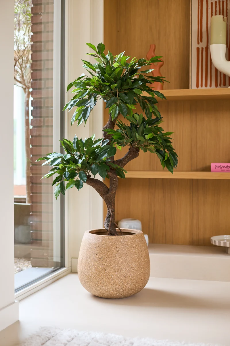 Kunstplant Ficus Crazy 120 cm