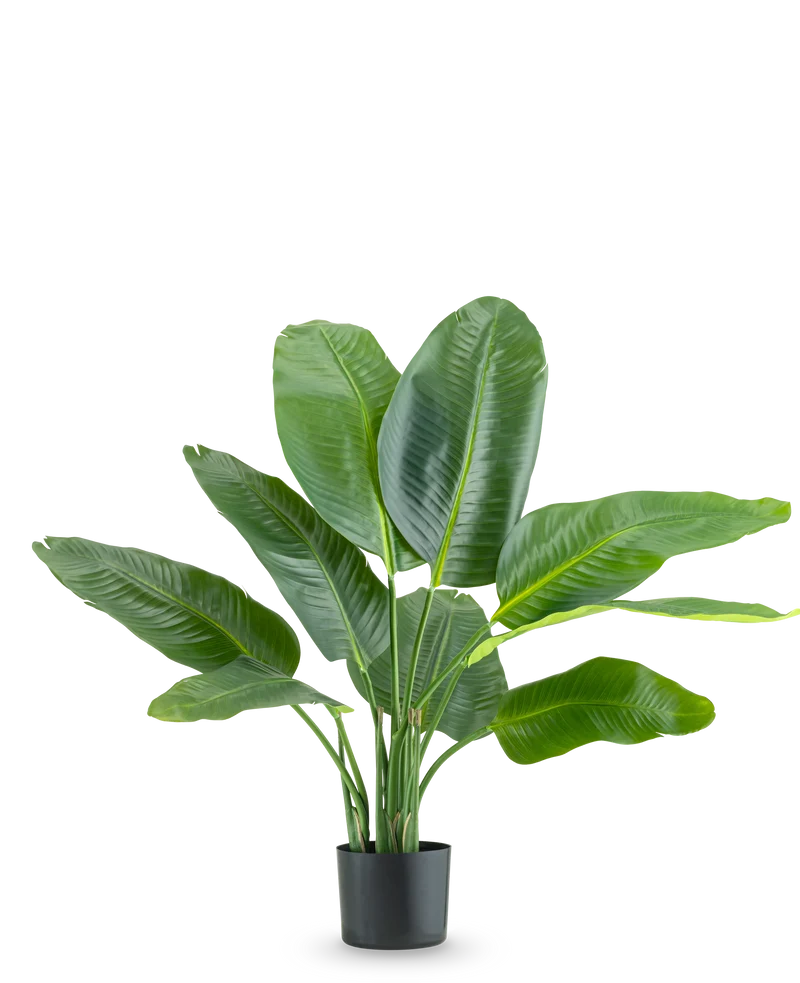 Kunstpflanze Strelitzia Real Touch Deluxe 90 cm