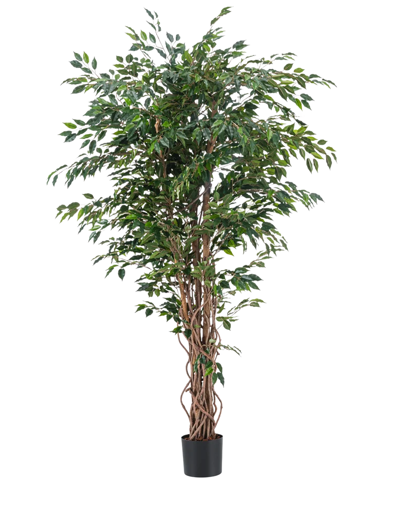 Künstliche Pflanze Ficus Liana 180 cm