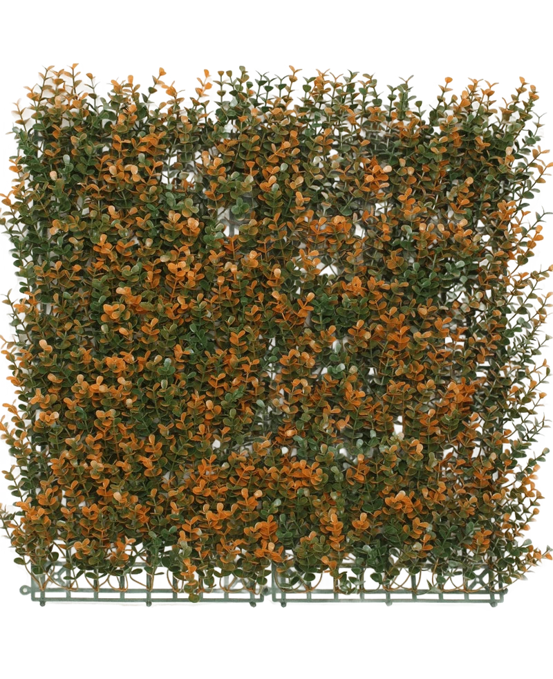 Kunstpflanzen Wand Buxus orange 50x50 cm UV