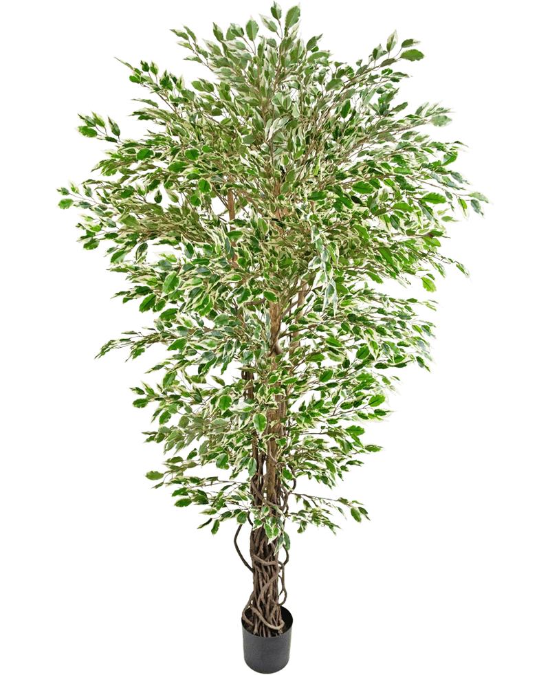 Künstliche Pflanze Hawaiian Ficus Liana 180 cm