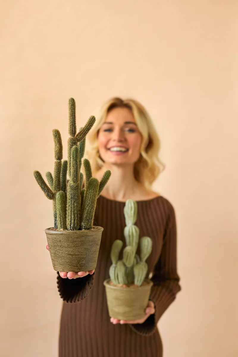 Kunst Cactus Cereus 35 cm