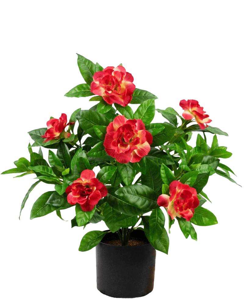 Künstliche Pflanze Gardenia 39 cm fuchsie