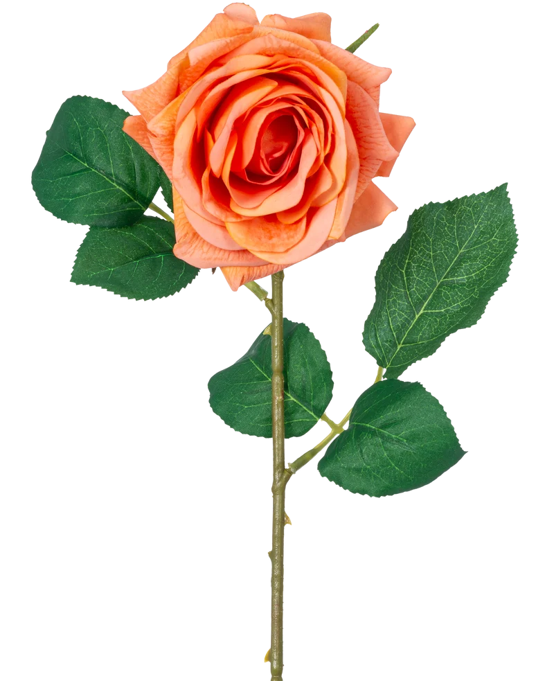 Künstliche Blume Crystal Touch feuchtigkeitsspendende Rose Real Touch orange 43 cm