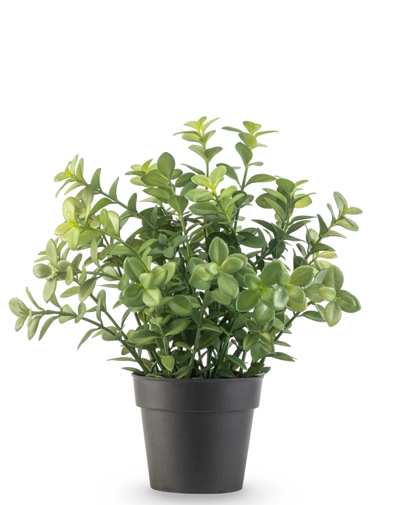 Künstliche Pflanze Eukalyptus 27 cm