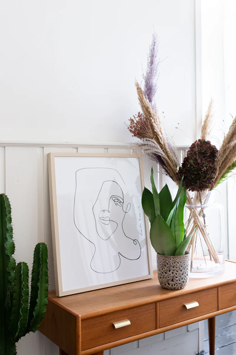 Sansevieria moonshine (Bogenhanf) (M)