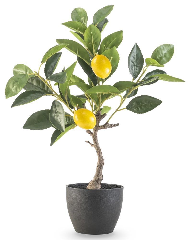 Künstlicher Zitronenbaum 40 cm im Ziertopf schwarz