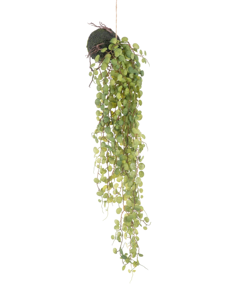 Künstliche hängende Sukkulente auf Glühbirne 78 cm
