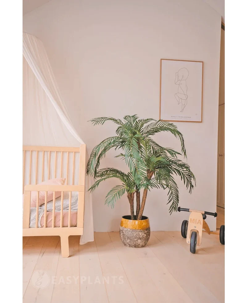 Cycas Palmetto Classic 135 cm