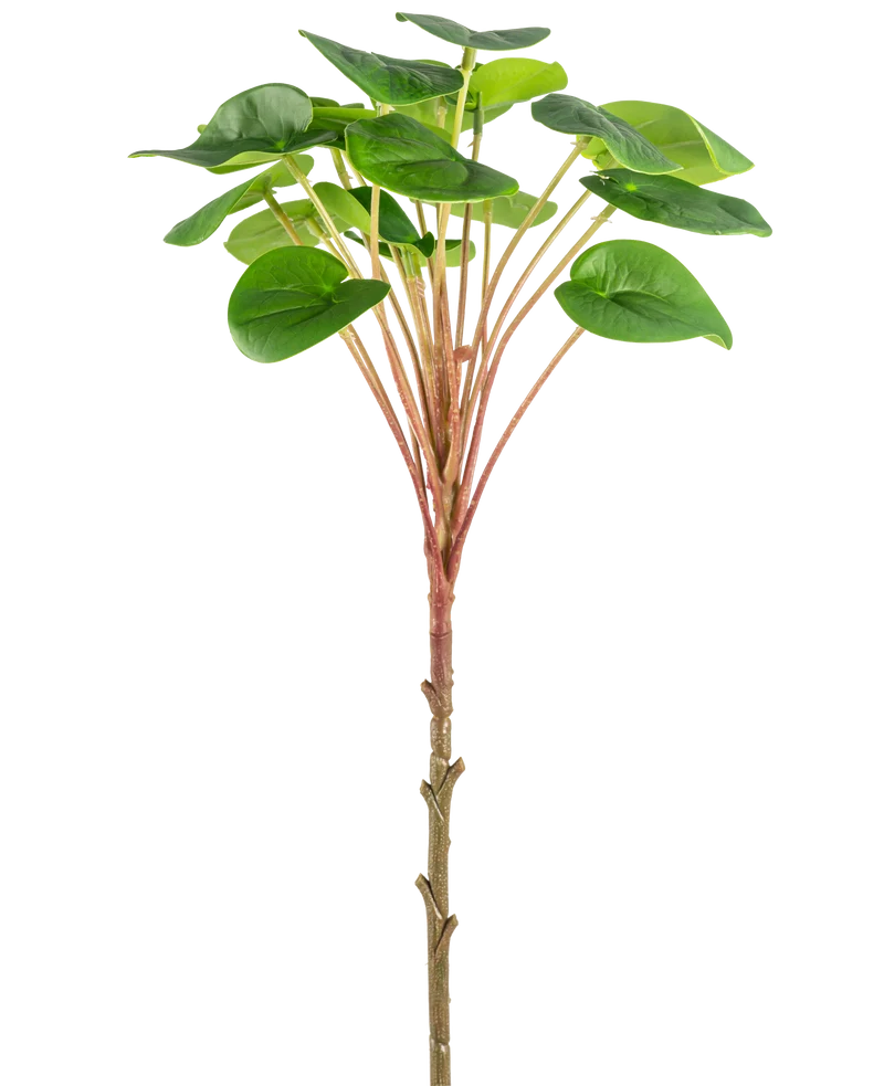 Künstliche Pilea Pancake Pflanze 50 cm