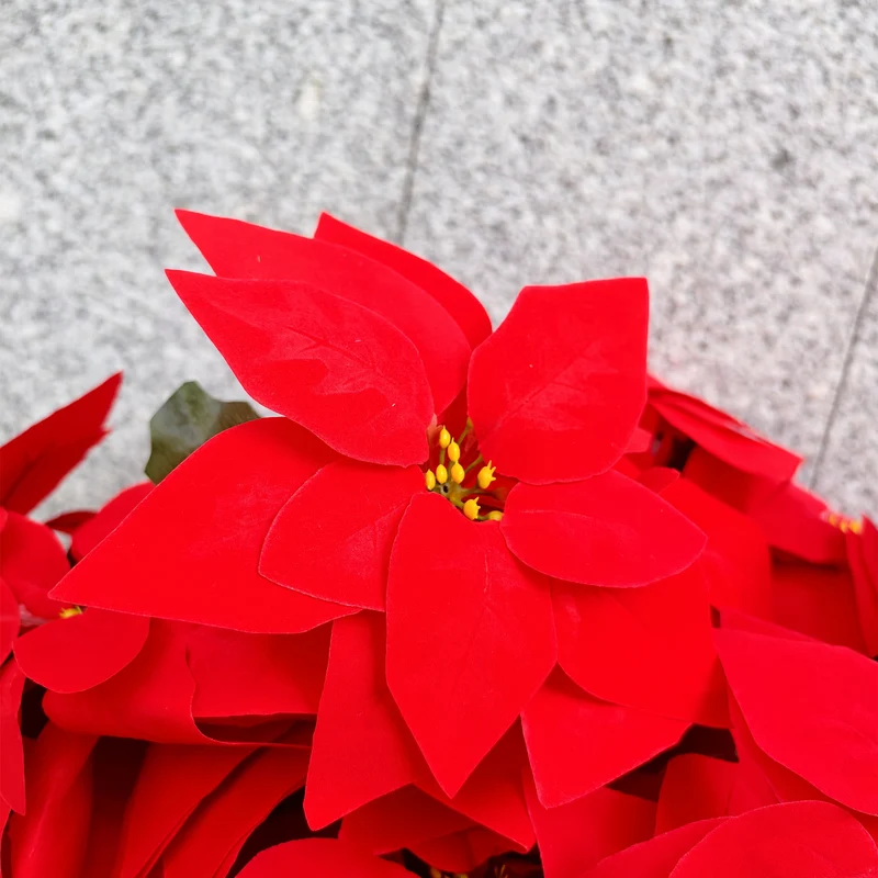 60 cm Weihnachtsdekoration Künstliche Friedhofsblumen Poinsettie mit Vase – 24 Blüten, UV-beständig für Draußen/Grabstätten, Weatherfest