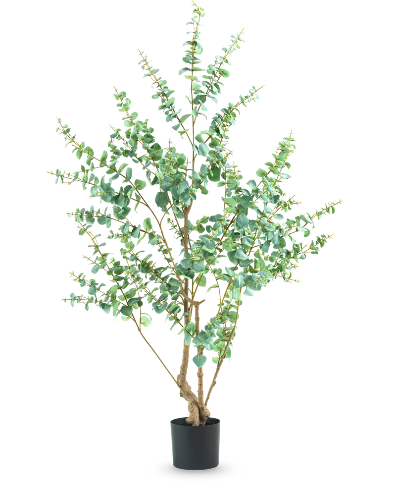 Künstliche Pflanze Eukalyptus 180 cm