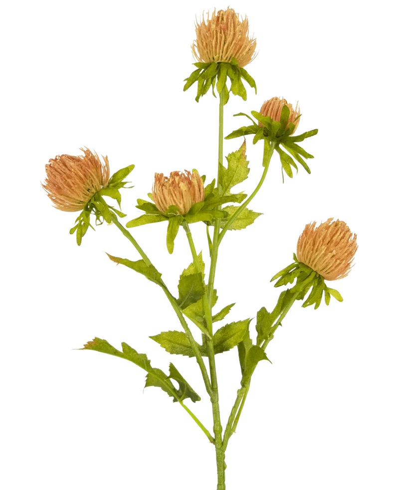 Kunstbloem Distel 66 cm perzik