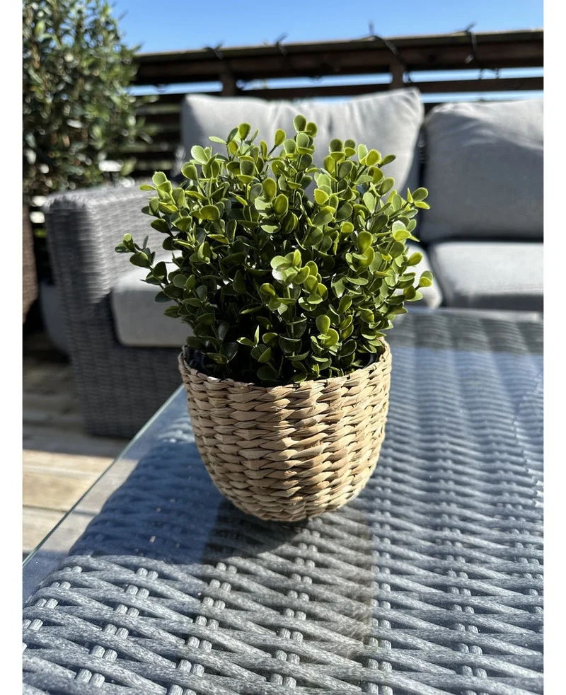 Kunstplant Buxus groen in pot UV 19 cm