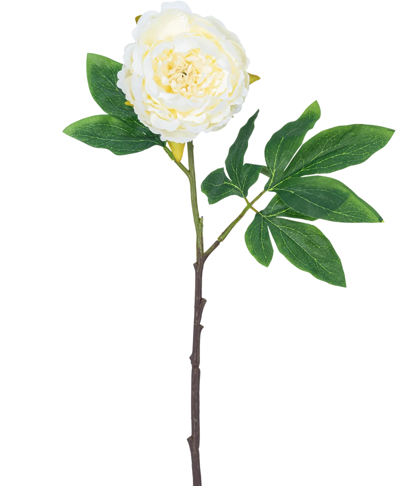 Künstliche Blume Pfingstrose 61 cm weiß