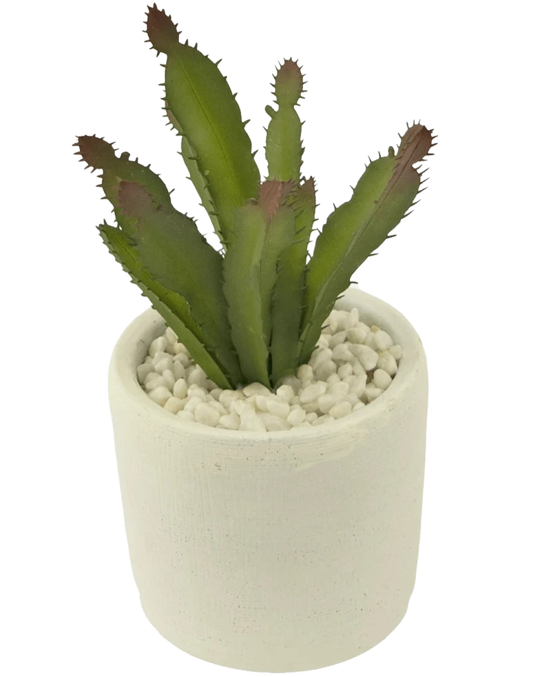 Künstliche Sukkulente 20 cm