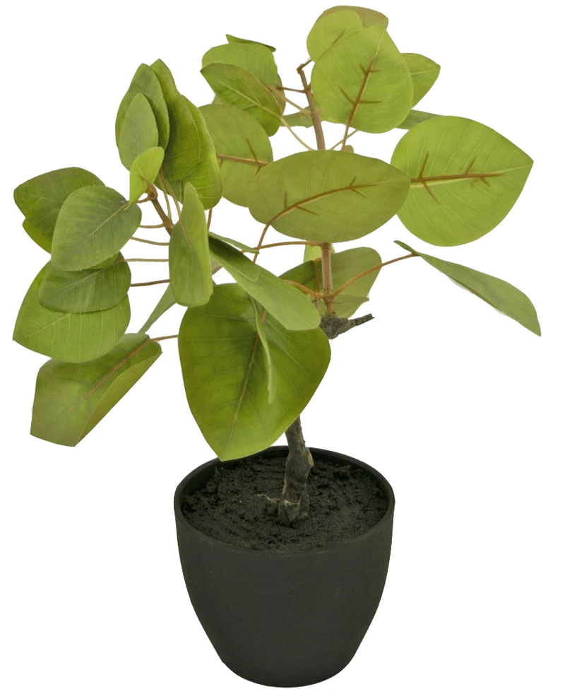 Kunst Tropica Ficus 12 cm in sierpot zwart