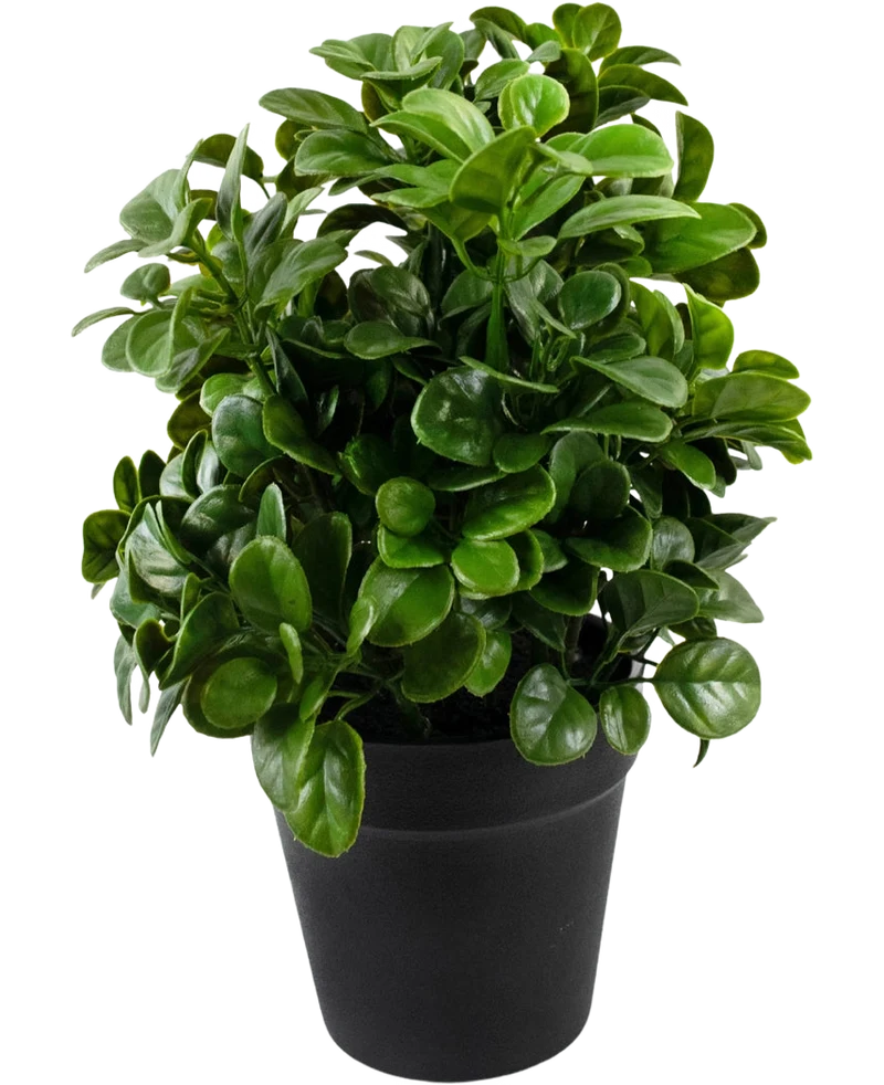 Künstliche Pflanze Petonia 24 cm