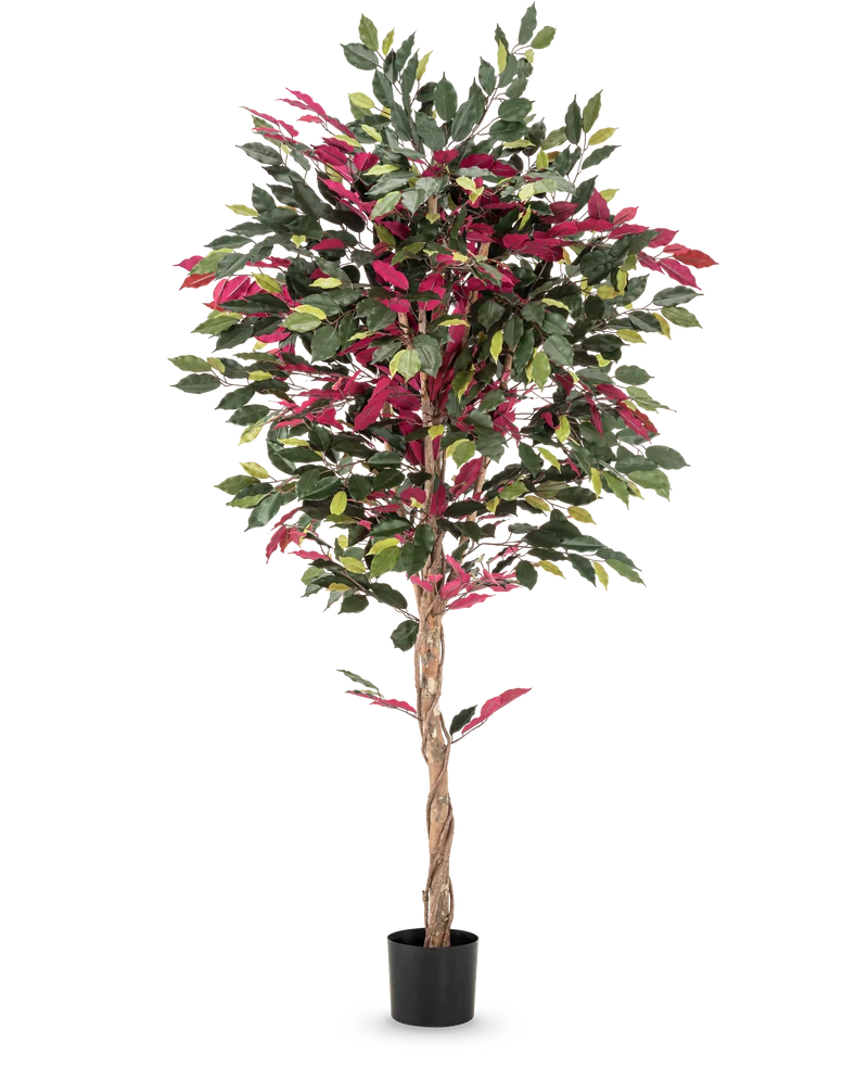 Feuerhemmende Kunstpflanze Ficus grün/rot 180 cm