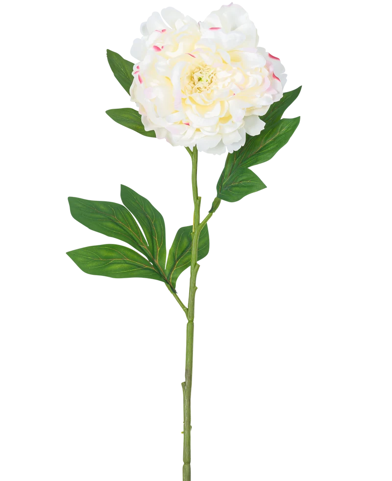 Künstliche Blume Pfingstrose 77 cm weiß
