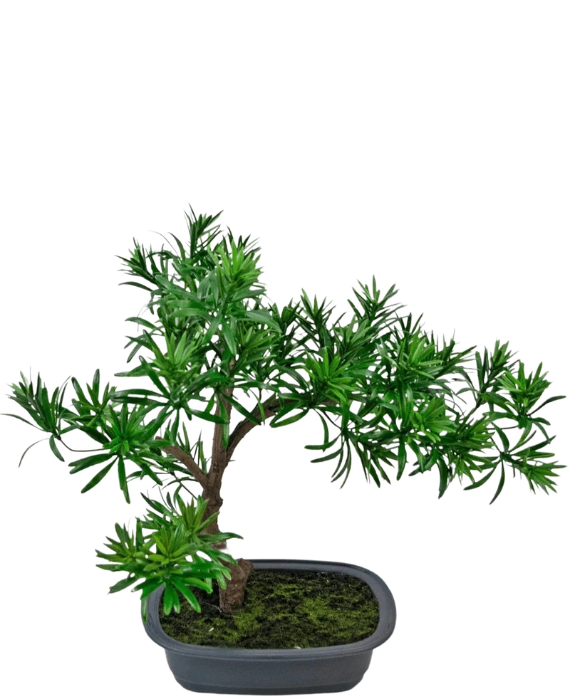 Künstliche Pflanze Bonsai Podocarpus 40 cm
