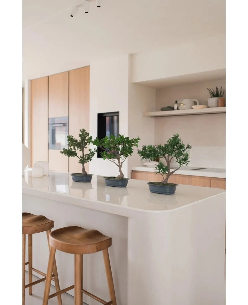 Künstliche Pflanze Bonsai Podocarpus 40 cm