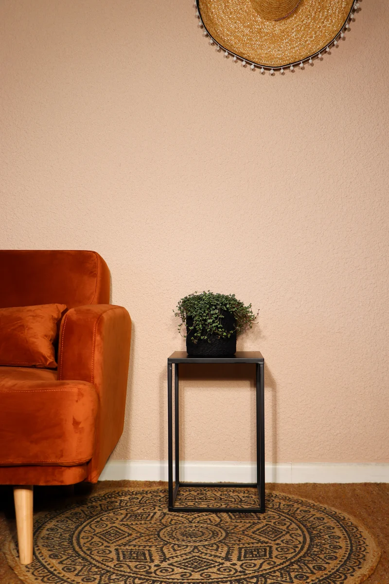 Pilea glauca (Kanonierblume) (S)