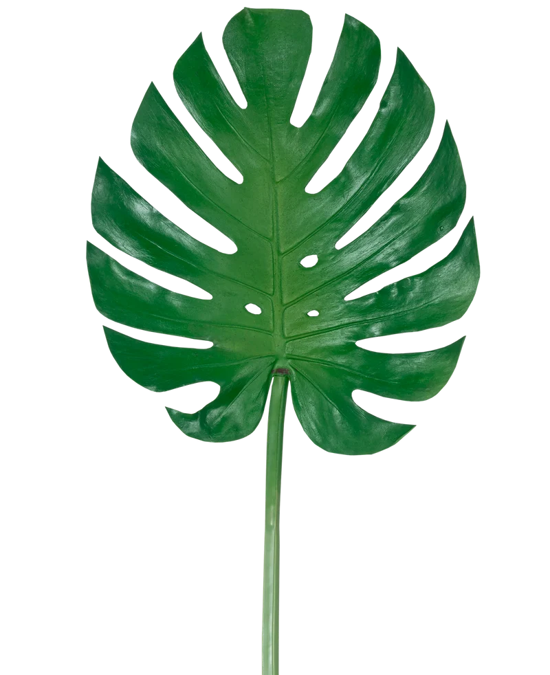 Künstliches Blatt Monstera 88cm
