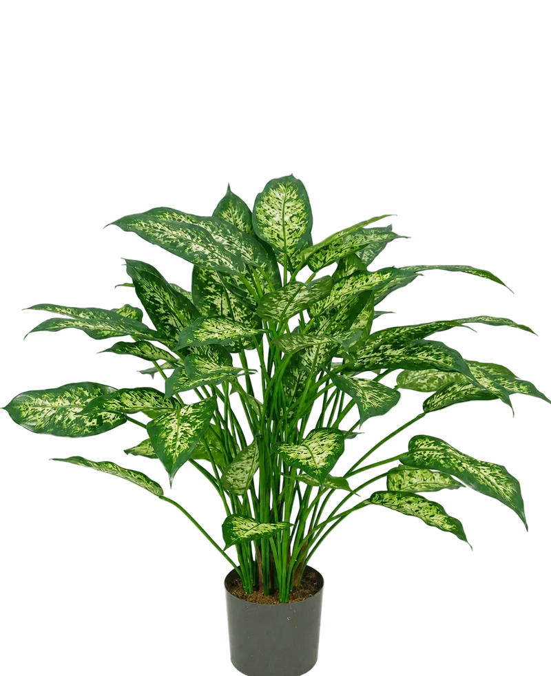 Kunstpflanze Dieffenbachia 75 cm
