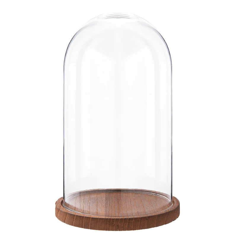 Glasglocke mit Holzsockel – transparent, Ø 16 x 28 cm