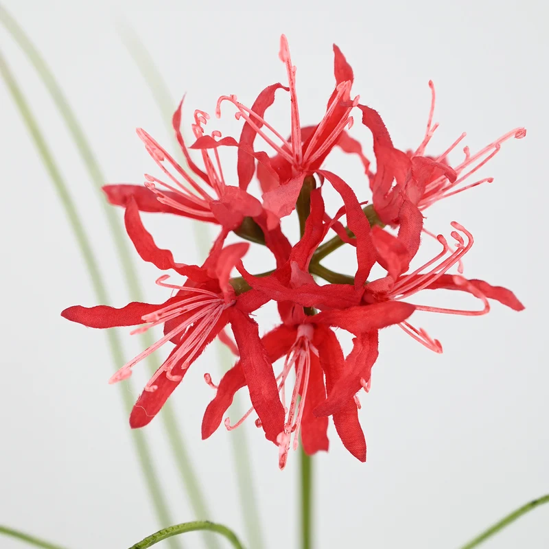 56 cm Künstliche Lycoris-Blume realistisch & pflegeleicht für Vase oder Dekoration