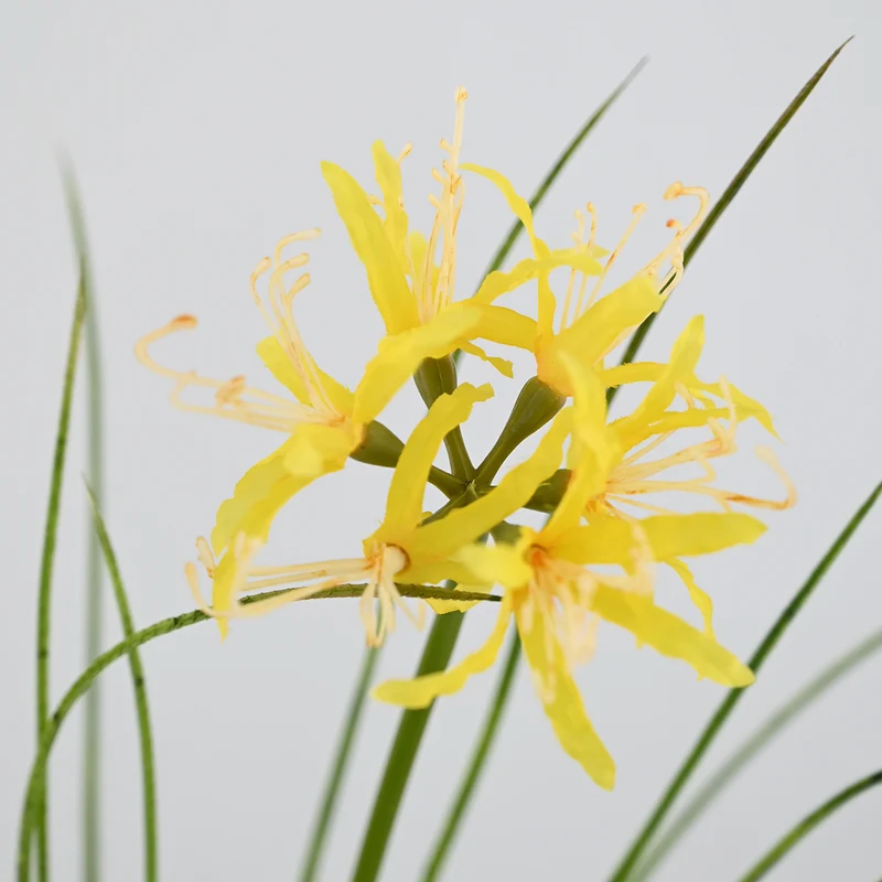 56 cm Künstliche Lycoris-Blume realistisch & pflegeleicht für Vase oder Dekoration