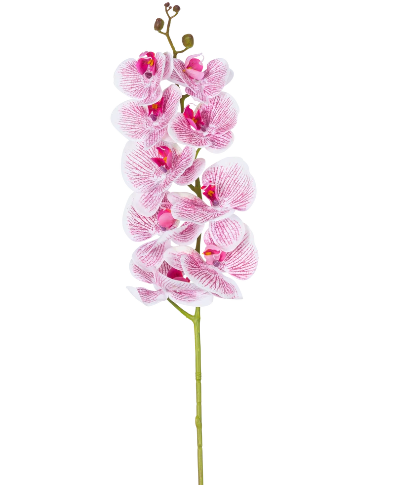 Künstliche Orchidee Real Touch Deluxe 105 cm fuchsia/weiß